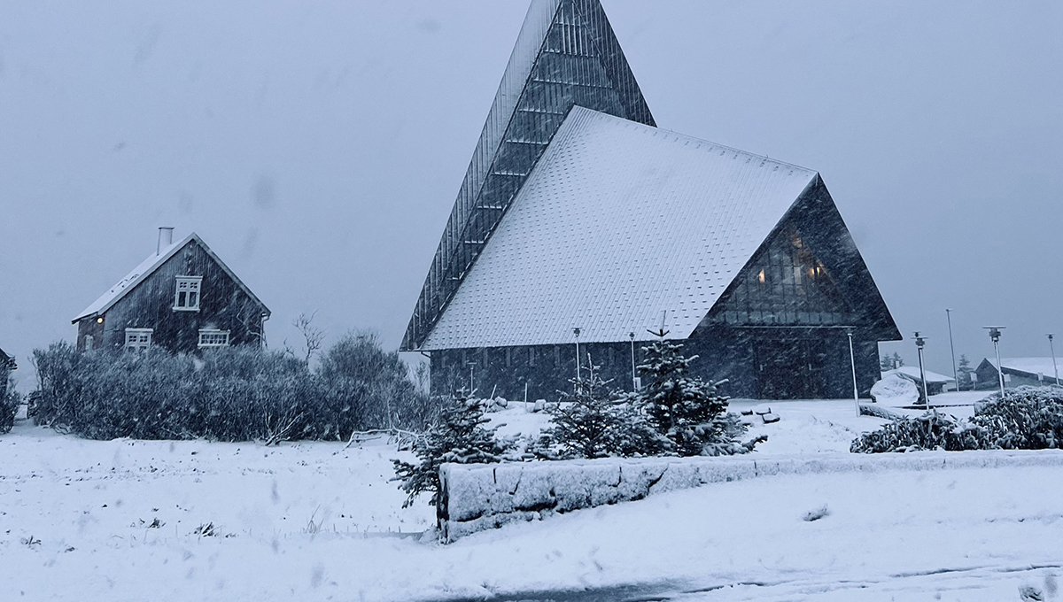 Korona og kavi - hevur tú eisini fingið nokk?